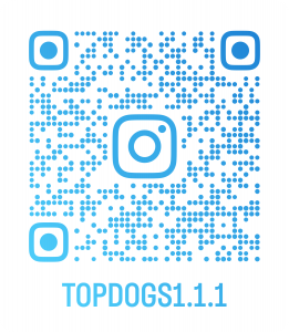 topdogs1.1.1_qr
